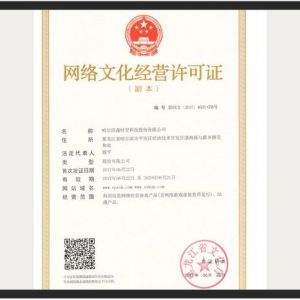 网络文化经营许可证 定义、申请流程与行业意义